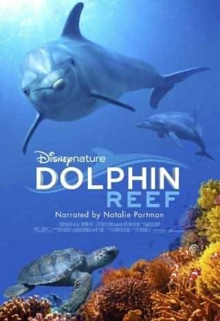صخره دلفین / Dolphin Reef