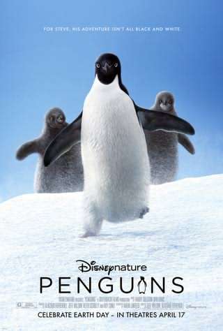 زندگی پنگوین ها / Penguins