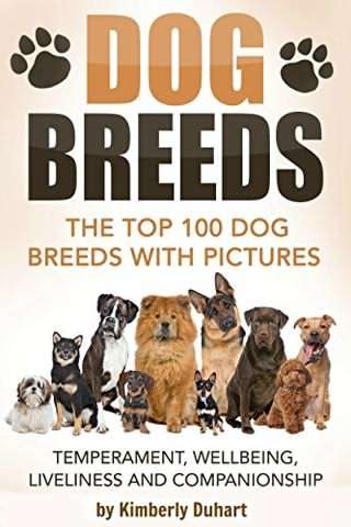 صد نژاد دوست داشتنی سگ ها / One hundred lovely breeds of dogs
