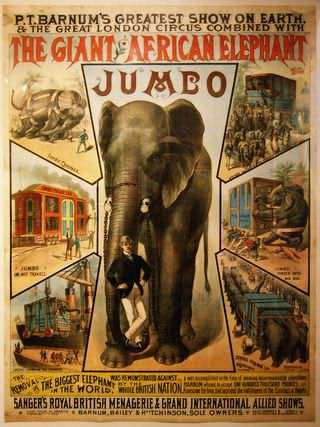 جامبو : داستان یک فیل مشهور / Jumbo, The Life of an Elephant Superstar