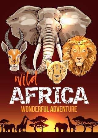 حیات وحش حیرت انگیز آفریقا / Amazing African Wildlife