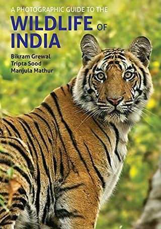 حیات وحش هند و چین / Wildlife of India and China