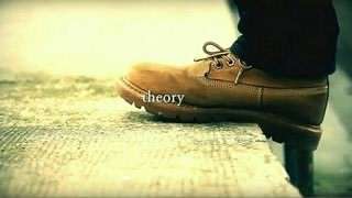 تئوری / theory