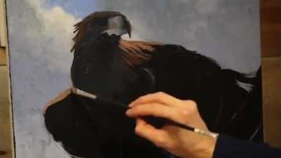 آموزش نقاشی یک پرنده عقاب