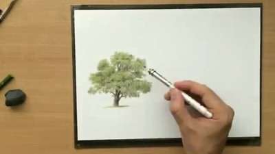 آموزش نقاشی درختان با مدادرنگی
