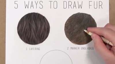آموزش نقاشی موهای حیوانات با مدادرنگی